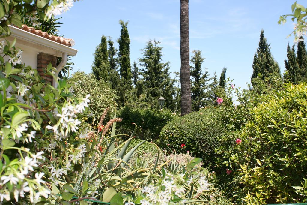 Bed and Breakfast Cortijo Andaluz à Alhaurín el Grande Extérieur photo