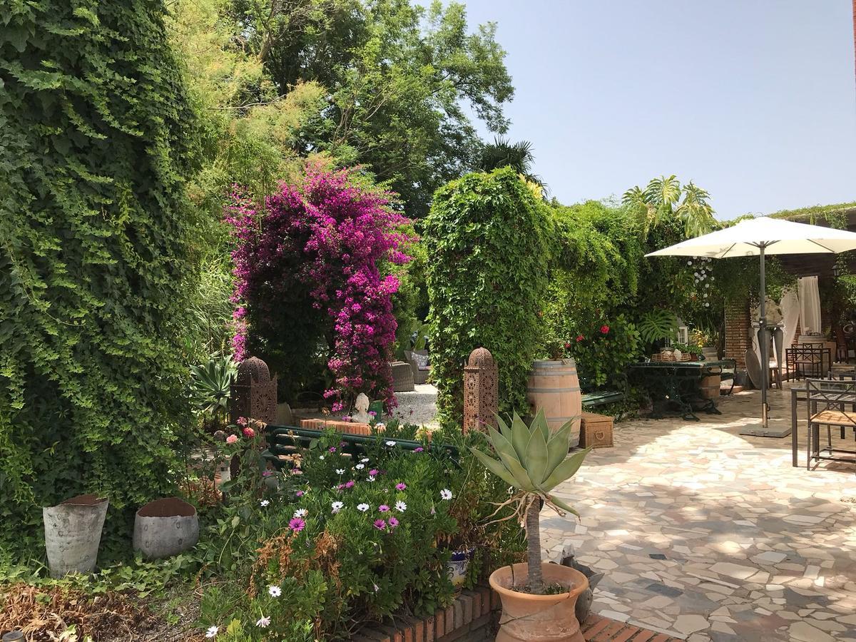Bed and Breakfast Cortijo Andaluz à Alhaurín el Grande Extérieur photo